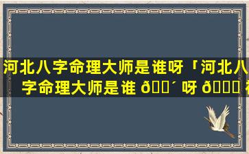 河北八字命理大师是谁呀「河北八字命理大师是谁 🌴 呀 🐛 视频」